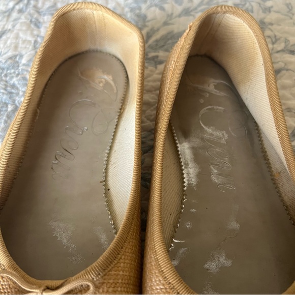 J. Crew Raffia Ballet Flats - Picture 6 of 12